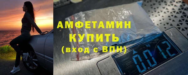 прущие грибы Медвежьегорск