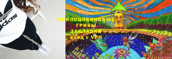 прущие крисы Майский