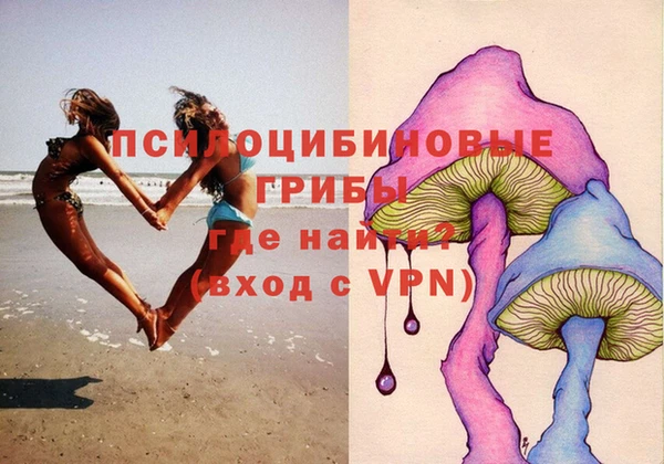 амф Магас