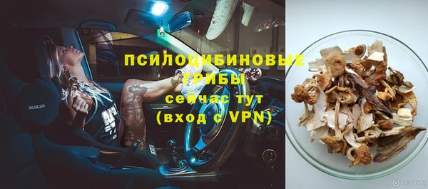 амф Магас