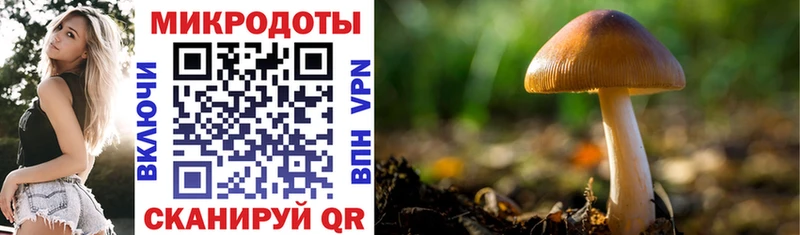 Галлюциногенные грибы прущие грибы  OMG как войти  Сорск 